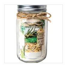 Terrarium Workshop $12.50-$40.00