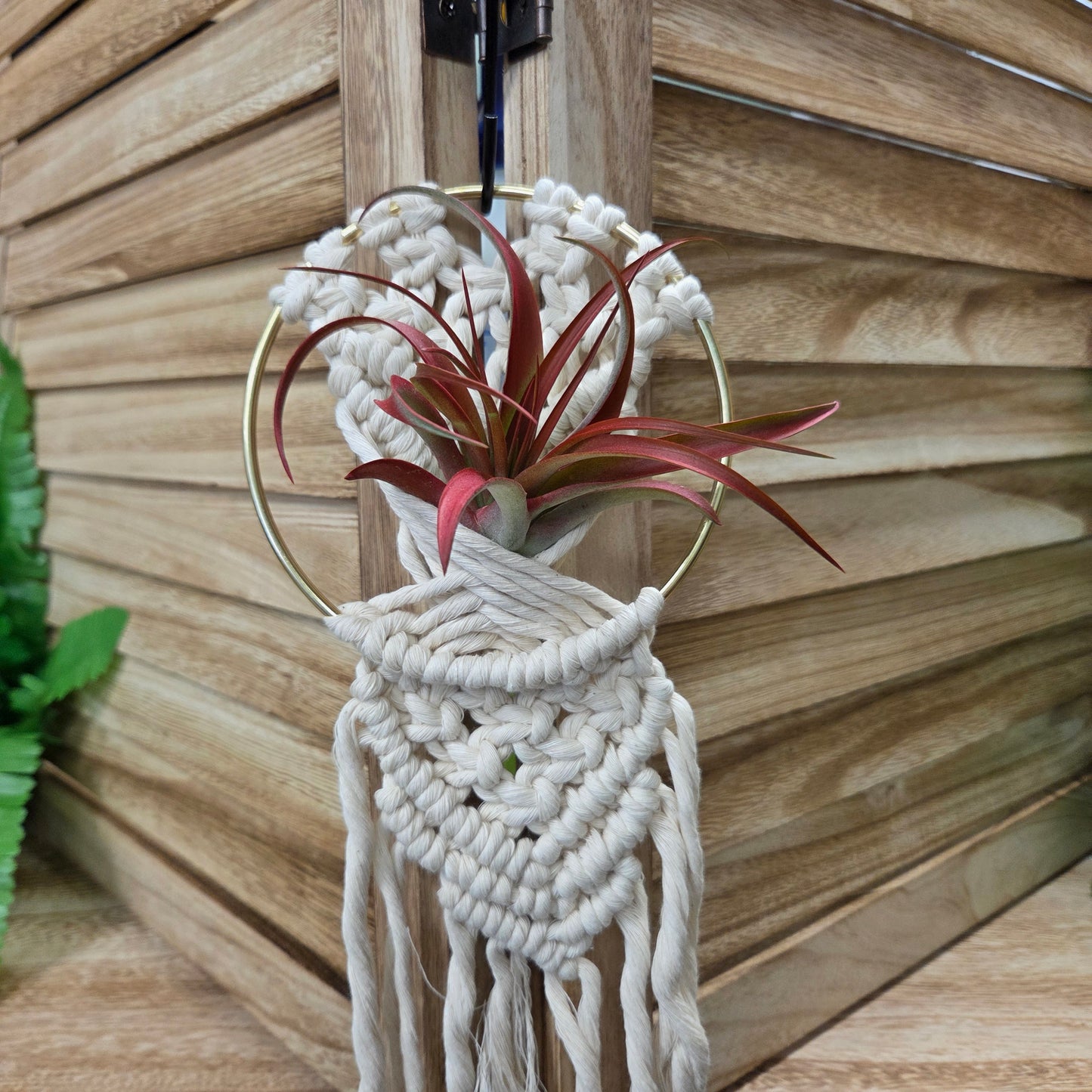 Macramé Kit