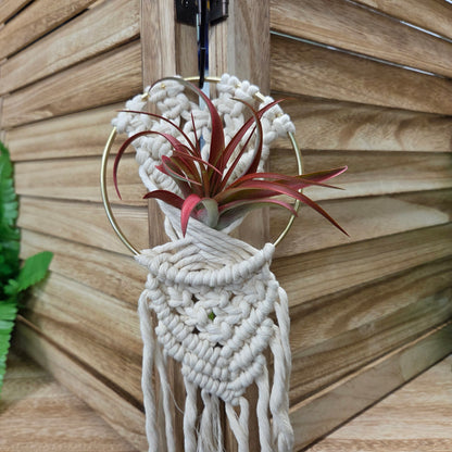 Macramé Kit