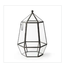 Terrarium Workshop $12.50-$40.00