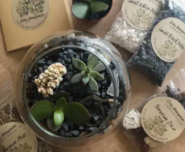 Terrarium Workshop $12.50-$40.00